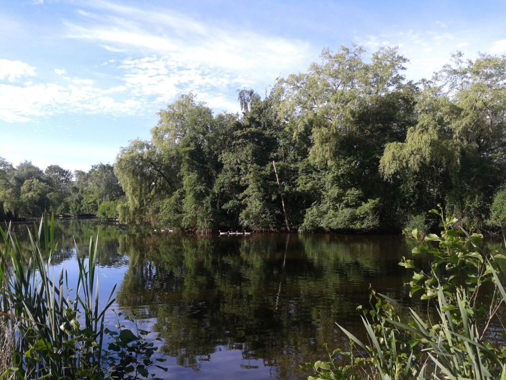 Caravanpark Camping Leiden-Zoeterwoude